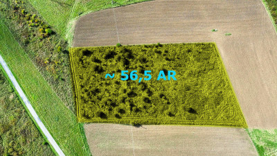 OKAZJANOWA NIŻSZA CENA NA SPRZEDAŻ DZIAŁKA NA UL RZEMIEŚLNICZEJ W JAŚLE 565AR - Jasło  - podkarpackie