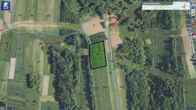 SAD W SIEKLÓWCE GM KOŁACZYCE 51AR - Sieklówka  - podkarpackie