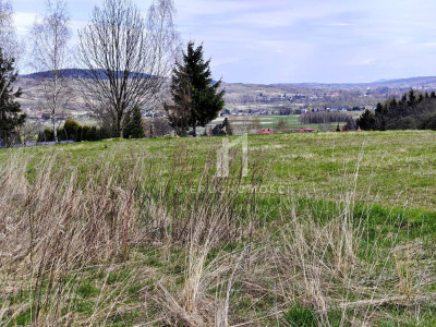 DZIAŁKA Z POTENCJAŁEM BUDOWLANYM U PODNÓŻA GÓRY LIWOCZ BRZYSKA 11AR - Brzyska  -
podkarpackie Zdjęcie nr 9