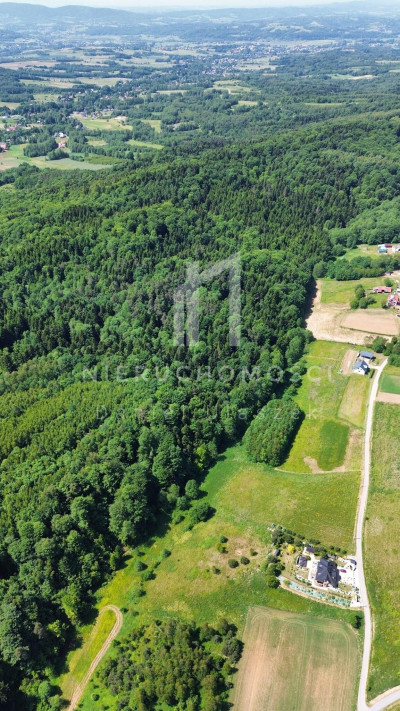 NOWA CENA KOMPLEKS MALOWNICZYCH DZIAŁEK Z POTENCJAŁEM W KAMIENICY GÓRNEJ GMINA BRZOSTEK - Kamienica Górna  -
podkarpackie Zdjęcie nr 3