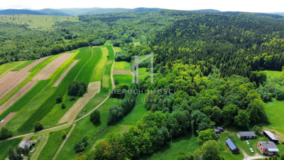 NIERUCHOMOŚĆ LEŚNA BEDNARKA GM LIPINKI 170HA - Bednarka  - małopolskie