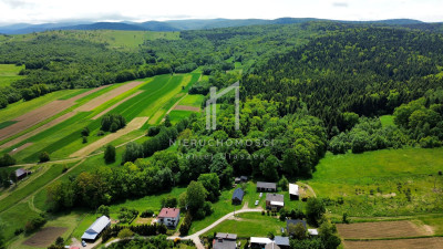 NIERUCHOMOŚĆ LEŚNA BEDNARKA GM LIPINKI 170HA - Bednarka  -
małopolskie Zdjęcie nr 3