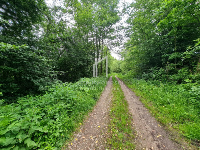 DZIAŁKA ROLNO-LEŚNA OPACIONKA GM BRZOSTEK 30AR - Opacionka  -
podkarpackie Zdjęcie nr 2