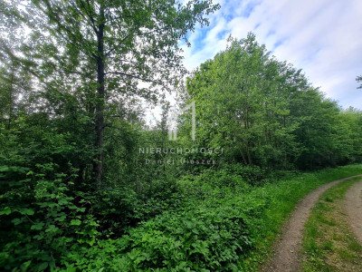 DZIAŁKA ROLNO-LEŚNA OPACIONKA GM BRZOSTEK 30AR - Opacionka  -
podkarpackie Zdjęcie nr 4