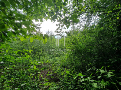 DZIAŁKA ROLNO-LEŚNA OPACIONKA GM BRZOSTEK 30AR - Opacionka  -
podkarpackie Zdjęcie nr 5