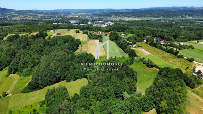 DUŻA DZIAŁKA ROLNA I LEŚNA W WIDOKOWEJ OKOLICY TRZCINICA 73AR - Trzcinica  -
podkarpackie Zdjęcie nr 4