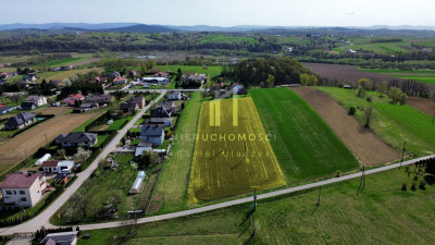 PARCELA BUDOWLANA W SKOŁYSZYNIE 50AR NISKA CENA - Skołyszyn  - podkarpackie