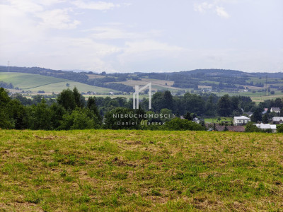 WIDOKOWA DZIAŁKA BUDOWLANA IWONICZ GM IWONICZ-ZDRÓJ 15AR - Iwonicz  - podkarpackie