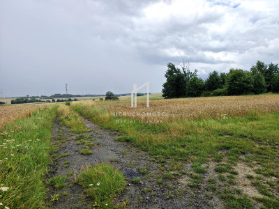 WIDOKOWA DZIAŁKA BUDOWLANA IWONICZ GM IWONICZ-ZDRÓJ 15AR - Iwonicz  -
podkarpackie Zdjęcie nr 6
