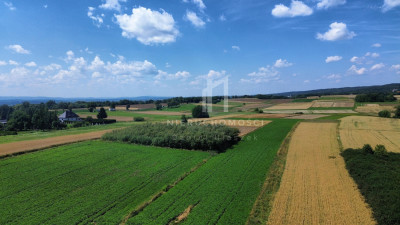 DUŻA DZIAŁKA ROLNA SZEBNIE GM JASŁO 57AR - Szebnie  -
podkarpackie Zdjęcie nr 4