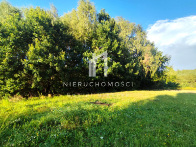 DZIAŁKA O STATUSIE BUDOWLANEJ Z WZ U PODNÓŻA GÓRY LIWOCZ LIPNICA GÓRNA GM SKOŁYSZYN 34AR - Lipnica Górna  - podkarpackie