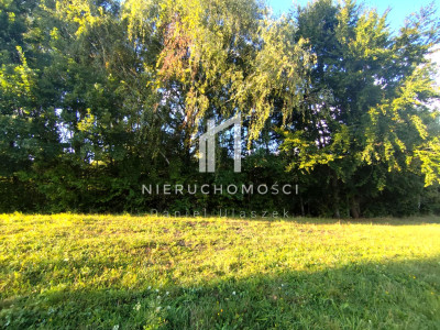 DZIAŁKA O STATUSIE BUDOWLANEJ Z WZ U PODNÓŻA GÓRY LIWOCZ LIPNICA GÓRNA GM SKOŁYSZYN 34AR - Lipnica Górna  -
podkarpackie Zdjęcie nr 2