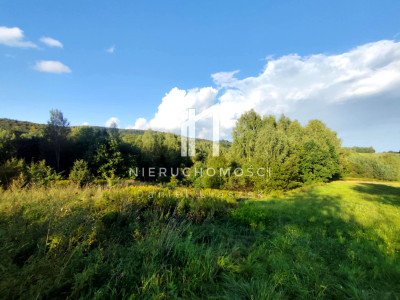 DZIAŁKA O STATUSIE BUDOWLANEJ Z WZ U PODNÓŻA GÓRY LIWOCZ LIPNICA GÓRNA GM SKOŁYSZYN 34AR - Lipnica Górna  -
podkarpackie Zdjęcie nr 3