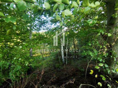 DZIAŁKA O STATUSIE BUDOWLANEJ Z WZ U PODNÓŻA GÓRY LIWOCZ LIPNICA GÓRNA GM SKOŁYSZYN 34AR - Lipnica Górna  -
podkarpackie Zdjęcie nr 7