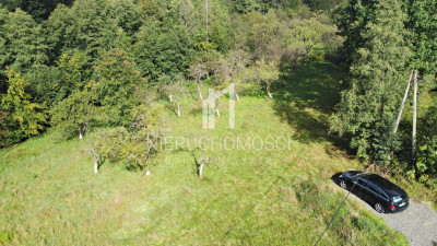 DUŻA DZIAŁKA 271 AR  BIERÓWKA GM JASŁO WARUNKI ZABUDOWY - Bierówka  -
podkarpackie Zdjęcie nr 14