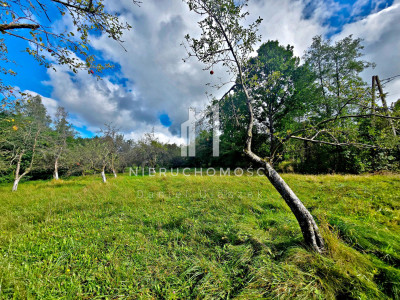 DUŻA DZIAŁKA 271 AR  BIERÓWKA GM JASŁO WARUNKI ZABUDOWY - Bierówka  -
podkarpackie Zdjęcie nr 2