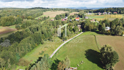 DUŻA DZIAŁKA 271 AR  BIERÓWKA GM JASŁO WARUNKI ZABUDOWY - Bierówka  -
podkarpackie Zdjęcie nr 4