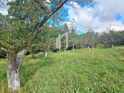 DUŻA DZIAŁKA 271 AR  BIERÓWKA GM JASŁO WARUNKI ZABUDOWY - Bierówka  -
podkarpackie Zdjęcie nr 5