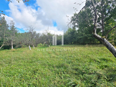 DUŻA DZIAŁKA 271 AR  BIERÓWKA GM JASŁO WARUNKI ZABUDOWY - Bierówka  -
podkarpackie Zdjęcie nr 6