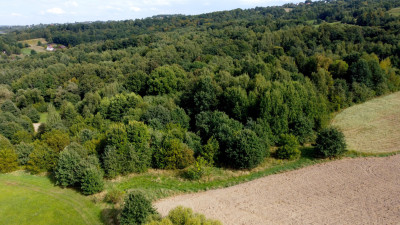 ROZLEGŁA ZIELONA NIERUCHOMOŚĆ GRUNTOWA 15KM OD KRAKOWA BUKÓW GM MOGILANY 329HA - Buków  -
małopolskie Zdjęcie nr 11