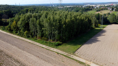 ROZLEGŁA ZIELONA NIERUCHOMOŚĆ GRUNTOWA 15KM OD KRAKOWA BUKÓW GM MOGILANY 329HA - Buków  -
małopolskie Zdjęcie nr 4
