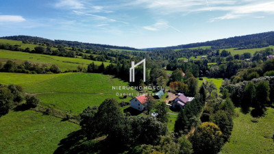 WIDOKOWA NIERUCHOMOŚĆ GRUNTOWA 8HA CHYROWA GM DUKLA - Chyrowa  -
podkarpackie Zdjęcie nr 7