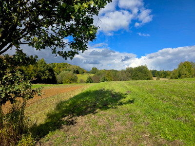 NIERUCHOMOŚĆ ROLNO-BUDOWLANA BIERÓWKA GMINA JASŁO 125HA - Bierówka  -
podkarpackie Zdjęcie nr 3