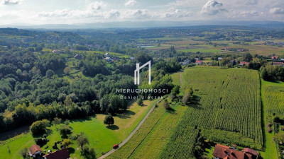 PRZESTRONNA DZIAŁKA BUDOWLANA Z WZ ŻÓŁKÓW GM JASŁO 435AR - Żółków  -
podkarpackie Zdjęcie nr 3