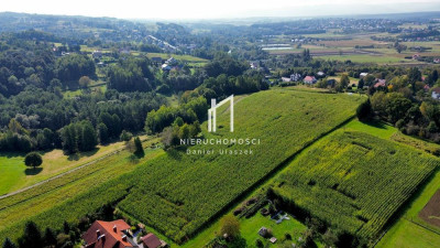 PRZESTRONNA DZIAŁKA BUDOWLANA Z WZ ŻÓŁKÓW GM JASŁO 435AR - Żółków  -
podkarpackie Zdjęcie nr 4