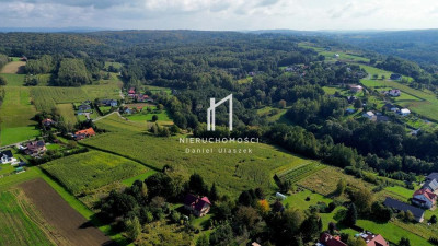 PRZESTRONNA DZIAŁKA BUDOWLANA Z WZ ŻÓŁKÓW GM JASŁO 435AR - Żółków  -
podkarpackie Zdjęcie nr 5