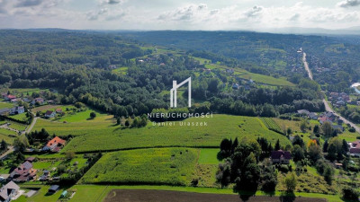 FOREMNA DZIAŁKA BUDOWLANA Z WZ ŻÓŁKÓW GM JASŁO 27AR - Żółków  -
podkarpackie Zdjęcie nr 3