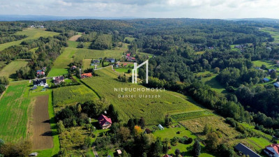 FOREMNA DZIAŁKA BUDOWLANA Z WZ ŻÓŁKÓW GM JASŁO 27AR - Żółków  -
podkarpackie Zdjęcie nr 4