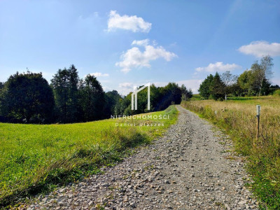 ZIELONA DZIAŁKA BUDOWLANA Z WZ LASEM I LINIĄ BRZEGOWĄ ŻÓŁKÓW GM JASŁO 54AR - Żółków  -
podkarpackie Zdjęcie nr 11