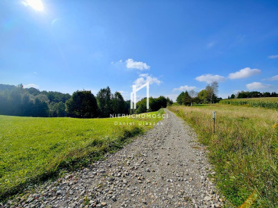ZIELONA DZIAŁKA BUDOWLANA Z WZ LASEM I LINIĄ BRZEGOWĄ ŻÓŁKÓW GM JASŁO 54AR - Żółków  -
podkarpackie Zdjęcie nr 12