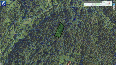 NA SPRZEDAŻ ATRAKCYJNY LAS W MIEJSCOWOŚCI DOMARADZ POWIAT BRZOZOWSKI OK 30 AR GRUBY DRZEWOSTAN  - Domaradz  - podkarpackie