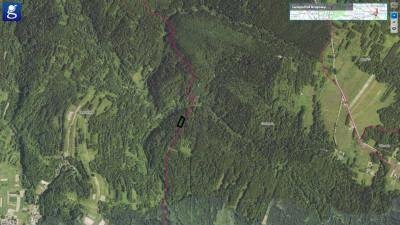 NA SPRZEDAŻ ATRAKCYJNY LAS W MIEJSCOWOŚCI DOMARADZ POWIAT BRZOZOWSKI OK 30 AR GRUBY DRZEWOSTAN  - Domaradz  -
podkarpackie Zdjęcie nr 2