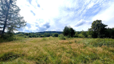 DZIAŁKA INWESTYCYJNA PRZY WYCIĄGU NARCIARSKIM MAŁASTÓW GM SĘKOWA 60AR - Małastów  -
małopolskie Zdjęcie nr 11