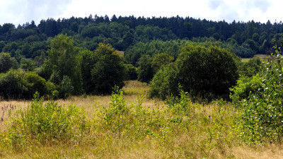 DZIAŁKA INWESTYCYJNA PRZY WYCIĄGU NARCIARSKIM MAŁASTÓW GM SĘKOWA 60AR - Małastów  -
małopolskie Zdjęcie nr 12