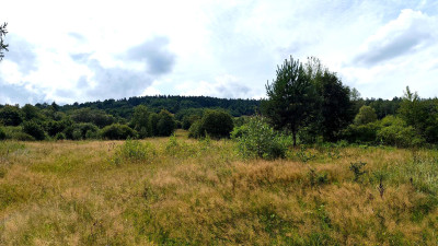 DZIAŁKA INWESTYCYJNA PRZY WYCIĄGU NARCIARSKIM MAŁASTÓW GM SĘKOWA 60AR - Małastów  -
małopolskie Zdjęcie nr 13