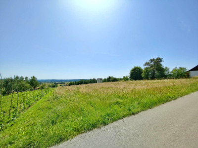 NOWA NIŻSZA CENA DZIAŁKA Z POTENCJAŁEM BUDOWLANYM BRZYSKA 34 ARY - Brzyska  -
podkarpackie Zdjęcie nr 10