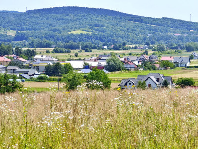 NOWA NIŻSZA CENA DZIAŁKA Z POTENCJAŁEM BUDOWLANYM BRZYSKA 34 ARY - Brzyska  - podkarpackie