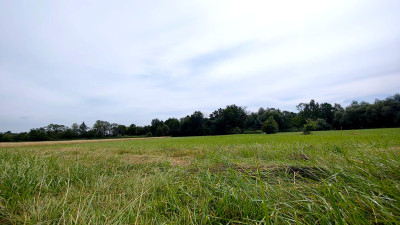 NOWA NIŻSZA CENA MALOWNICZA PRZESTRONNA DZIAŁKA BUDOWLANA PAGORZYNA 49AR - Pagorzyna  -
małopolskie Zdjęcie nr 10