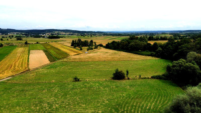 NOWA NIŻSZA CENA MALOWNICZA PRZESTRONNA DZIAŁKA BUDOWLANA PAGORZYNA 49AR - Pagorzyna  -
małopolskie Zdjęcie nr 7