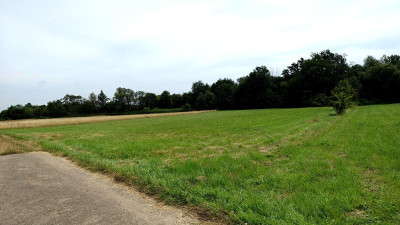 NOWA NIŻSZA CENA MALOWNICZA PRZESTRONNA DZIAŁKA BUDOWLANA PAGORZYNA 49AR - Pagorzyna  -
małopolskie Zdjęcie nr 9