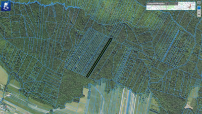 NIERUCHOMOŚĆ LEŚNA 63 AR -TOKI  GMINA NOWY ŻMIGRÓD - Toki  -
podkarpackie Zdjęcie nr 2