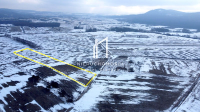 DUŻA DZIAŁKA ROLNA PAGÓREK GM DĘBOWIEC 101HA - Pagórek  -
podkarpackie Zdjęcie nr 4