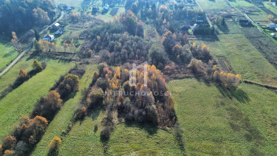 DWIE DZIAŁKI ROLNO-BUDOWLANE HARKLOWA GM SKOŁYSZYN 75AR - Harklowa  -
podkarpackie Zdjęcie nr 3