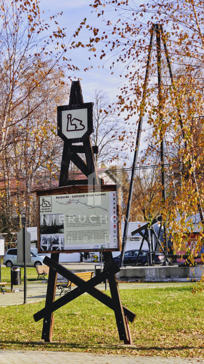 DWIE DZIAŁKI ROLNO-BUDOWLANE HARKLOWA GM SKOŁYSZYN 75AR - Harklowa  -
podkarpackie Zdjęcie nr 9