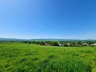 Działka widokowa budowlana w Gorzycach pod lasem 47ar - Gorzyce   -
podkarpackie Zdjęcie nr 8