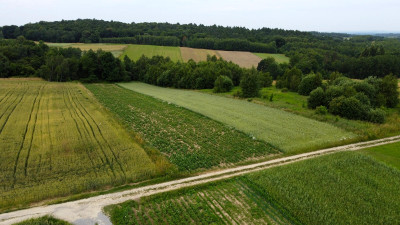 ATRAKCYJNA DZIAŁKA W MIEJSCOWOŚCI ŁAJSCE 62 AR - Łajsce   -
podkarpackie Zdjęcie nr 2